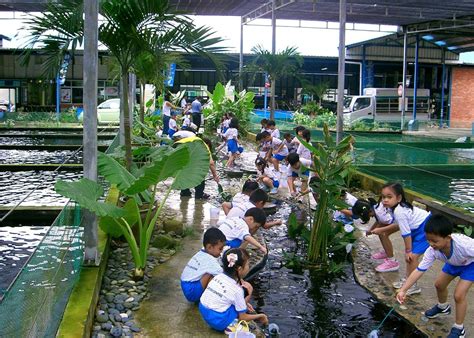 Where to go longkang fishing in Singapore | HoneyKids Asia