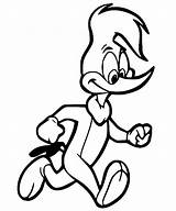 60  Woody Woodpecker Coloring Pages Free Printable PDF JPG PNG sketch template
