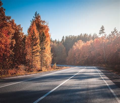 Premium Photo | Country road. autumn.