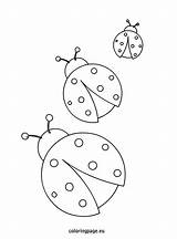 Ladybugs coloring Page Colouring Pages Printable Coloring  sketch template