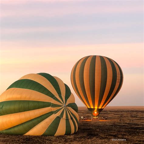 Hot Air Balloon Safari - Enriching your Safari - Pristine Trails