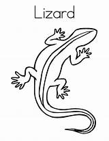 Free Printable Lizard Coloring Pages For Kids sketch template