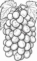 Simple Grapes coloring Pages For Kids – EĞİTİM KÜLTÜR sketch template