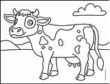 Easy How To Draw A Cow Tutorial Video And Coloring Page sketch template