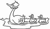 Duck Kaczka Ducklings Enten Ausmalbilder Druku Kolorowanka Kolorowanki  sketch template