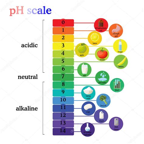 Diagram of ph scale | PH scale diagram with corresponding acidic or ...