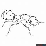 Ant Coloring Page  Easy Drawing Guides sketch template