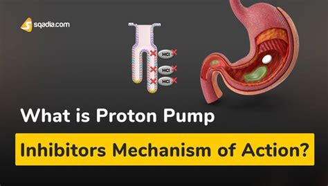 Proton Pump Inhibitor Mechanism