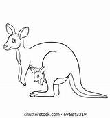 Coloring Pages Mother Kangaroo Her Little เวกเตอร์สต็อก ปลอดค่า  sketch template