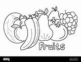 Fruits coloring Book For Children Stock Vector Image & Art  Alamy sketch template