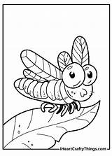 Bug Coloring Pages sketch template