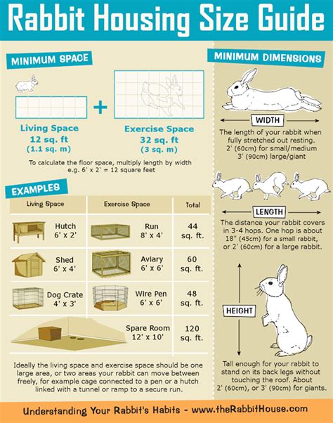 BlueRidgePetCenter: Rabbit Hutch/Cage Size Guide