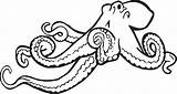 Coloring Book Octopus  Openclipart sketch template
