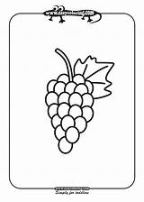 Free Grapes Coloring Page Download Png  sketch template