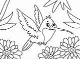Hummingbird coloring page  Free Printable Coloring Pages sketch template