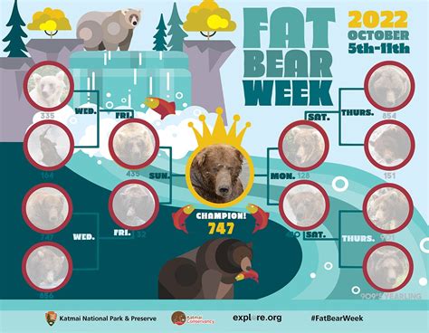 Fat Bear Week 2022 - Katmai National Park & Preserve (U.S. National ...