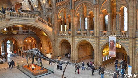 Un paseo entre dinosaurios por el Museo de Historia Natural de Londres - DeMiku