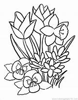 Large Printable Coloring Pages At GetColoringscom  Free sketch template