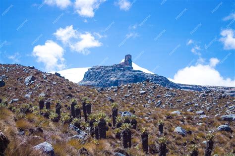 Premium Photo | Beautiful view of el cocuy national park , colombia