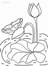 Water Lily Coloring Sheet Pages sketch template