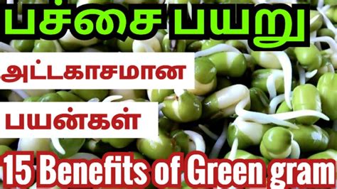 பாசி பயறு பயன்கள்| pasi payaru benefits| green gram benefits in tamil ...