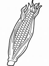 Corn Coloring Pages For Kids sketch template