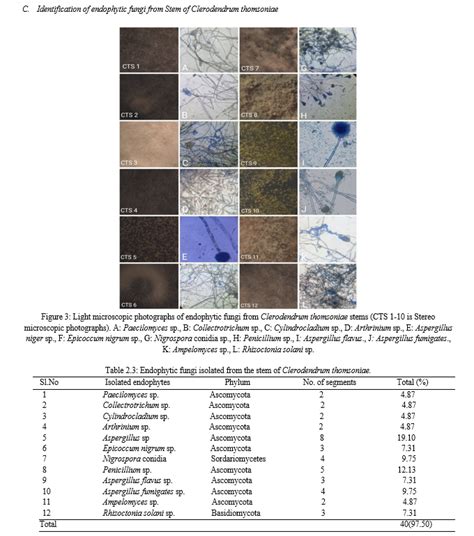 Isolation and Identification of Endophytic Fungi from Leaves, Stem and Flower of Clerodendrum ...