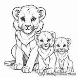 Lion Cub Coloring Pages  Free & Printable sketch template
