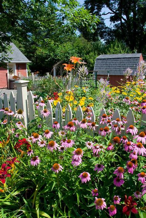 Perennial flower garden in sunny summer backyard | Backyard flowers garden, Flower garden design ...