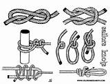 Pin By Thomas Kleinhans On Sailing Ships  Knots Tutorial Sailor knots sketch template