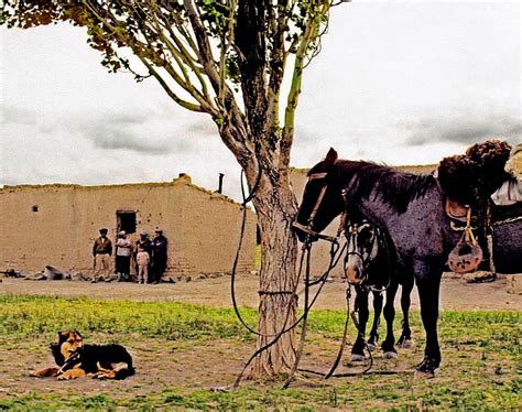 Fascinating Humanity: Argentina: Typical Patagonia Scene