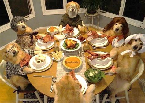 Are those Thanksgiving leftovers safe for your dog? - Hilarious Hound