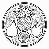 Premium Photo  Whimsical Fruit Mandalas Captivating Coloring Pages For sketch template