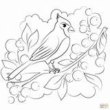 Cardinal coloring Page  Free Printable Coloring Pages sketch template