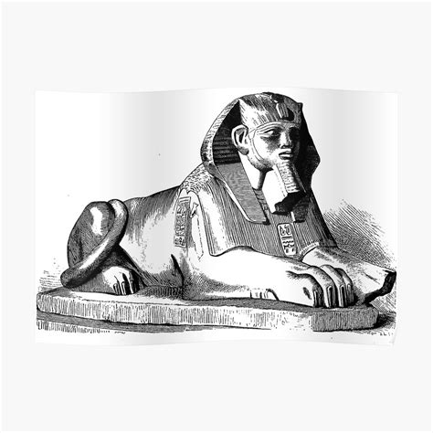 "Egyptian Sphinx Sketch" Poster by dopeandbirds | Redbubble