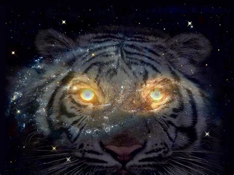 Space Tiger Wallpapers - Wallpaper Cave