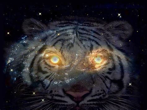 Tiger Galaxy Tumblr Background