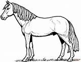 Realistic Printable Horse Coloring Pages sketch template