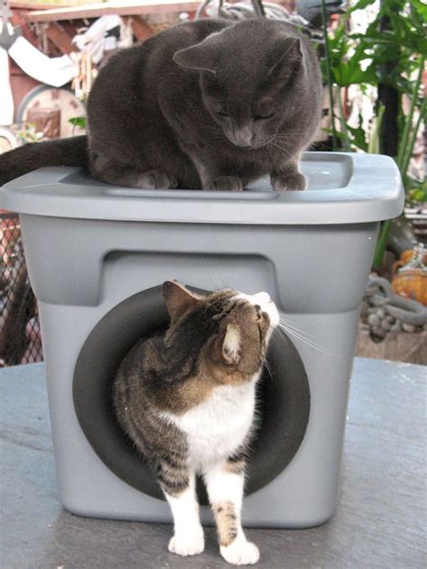 Artsy Fartsy: Outdoor Cat Bed For Winter Feral Cat Shelter, Feral Cat ...