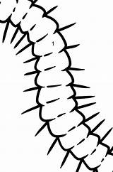 Centipede coloring Page ♥ Print And Online Free sketch template