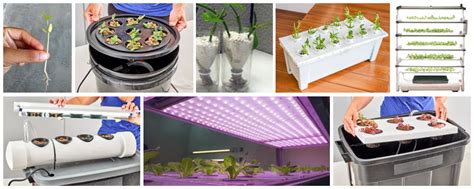 Best Hydroponic Plants for Beginners (Easiest to Grow) 🔥ACTUAL