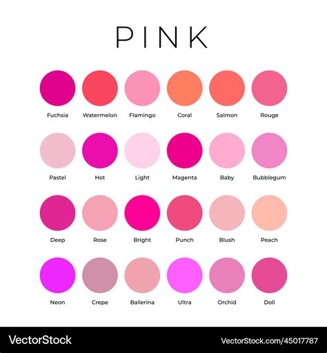 Pink color shades swatches palette with names Vector Image