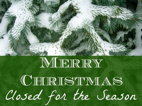 closed for the season – Holly Lane Tree Farm