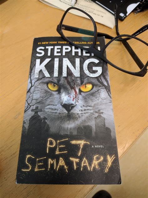 Book review: Pet Sematary, by Stephen King - ForenSeek - Mysteries, Crimes, Curiosities