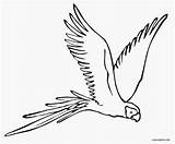 Printable Parrot Coloring Pages For Kids sketch template