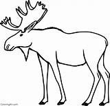 Free Moose Coloring Pages sketch template