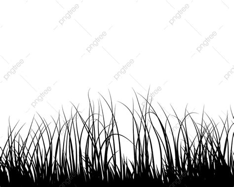 Gambar Siluet Rumput Berhias Di Latar Belakang Putih, Tanaman, Bunga, Hiasan PNG dan Vektor ...