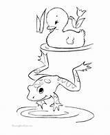 Tadpole Coloring Page At GetColoringscom  Free Printable Colorings sketch template
