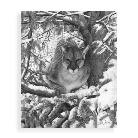 “Mountain Lion Hideout” – Barb's Western Art