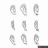 Ears Coloring sketch template